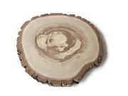 Dekoracje domu - Plaster drewna Orzech włoski szlifowany 28-30 cm / 2 cm - miniaturka - grafika 1