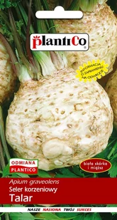 Plantico Seler korzeniowy Talar - Nasiona i cebule - miniaturka - grafika 1
