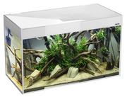 Akwaria i zestawy akwarystyczne - AQUAEL Zestaw akwariowy Glossy ST 100 D&N biały - miniaturka - grafika 1