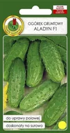 Nasiona i cebule - Ogórek gruntowy Aladyn F1 100 g PNOS - miniaturka - grafika 1