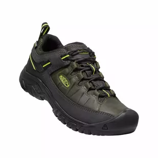 Buty trekkingowe męskie TARGHEE III WP - Buty trekkingowe męskie - miniaturka - grafika 4