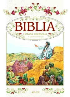 Jedność praca zbiorowa Biblia Historia zbawienia w opowiadaniach Mały format w etui pudełku - Religia i religioznawstwo - miniaturka - grafika 1