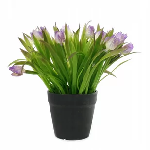 Sztuczne Kwiaty W Doniczce Tulipan Trawa 20Cm - Sztuczne kwiaty - miniaturka - grafika 1