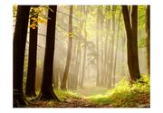 Fototapety - DecoNest Fototapeta Mysterious forest path 400X309 A0-4XLFTNT1022 - miniaturka - grafika 1