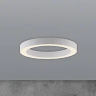 Lampy sufitowe - PURE Lampa sufitowa LED Lines, możliwość ściemniania, biały / opal, salon / jadalnia, aluminium, nowoczesny - miniaturka - grafika 1