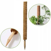Pozostałe akcesoria do uprawy roślin - Palik kokosowy 60 cm podpora do roślin tyczka - miniaturka - grafika 1