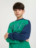 Swetry dla chłopców - Sinsay - Bluza - zielony - miniaturka - grafika 1