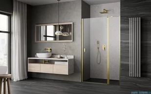 Radaway Nes Dwj II Brushed Gold drzwi wnękowe 110cm prawe szczotkowane złoto 10036110-99-01R - Akcesoria do armatury i ceramiki - miniaturka - grafika 2