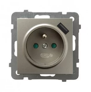 Ospel AS satyna gniazdo z uziemieniem + USB GP-1GZPUSB/m/45 - Gniazdka elektryczne - miniaturka - grafika 1
