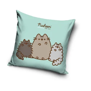 Poszewka na PODUSZKĘ KOTEK Pusheen Miękka  40x 40 cm Dziecięca VELVET Koteczek - Pościel dla dzieci - miniaturka - grafika 1