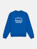 Bluzy męskie - felpa uomo dickies graphic hoodie 3 - dk0a85st j531 turkish sea - miniaturka - grafika 1