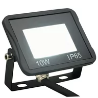 Lampy pozostałe - vidaXL Naświetlacz Reflektor LED 10 W zimne białe światło 149614 - miniaturka - grafika 1