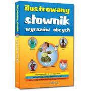 Słowniki języka polskiego - Greg Katarzyna Ćwiękała Ilustrowany słownik wyrazów obcych - miniaturka - grafika 1