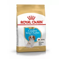 Sucha karma dla psów - Royal Canin Cavalier King Charles Junior 1,5 kg - miniaturka - grafika 1