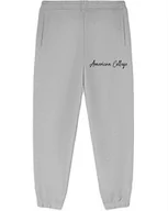 Spodnie sportowe męskie - AMERICAN COLLEGE USA Spodnie dresowe męskie, Melange Grey, M - miniaturka - grafika 1