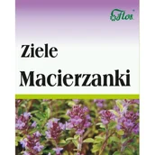 Herbata - Flos MACIERZANKA ZIELE 50G - miniaturka - grafika 1