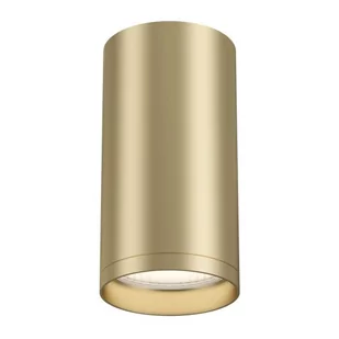 Maytoni Lampa Focus S Maytoni C052CL-01MG - Lampy sufitowe - miniaturka - grafika 1