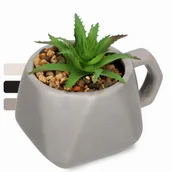 Sztuczne kwiaty - Sztuczny sukulent 11 x 8 cm, szary - miniaturka - grafika 1