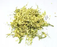 Przyprawy i zioła sypkie - KWIAT CZARNEGO BZU NIEOTARTY 200 G 100% NATURALNY - miniaturka - grafika 1