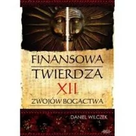 Finanse, księgowość, bankowość - Finansowa twierdza Daniel Wilczek - miniaturka - grafika 1
