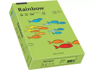 Papyrus Papier xero A4 kolor RAINBOW intens. - zieleń 76 - Papier do drukarek - miniaturka - grafika 1