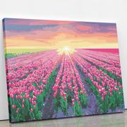Malowanie po numerach - Pole różowych tulipanów - Malowanie po numerach 50 X 40 cm - miniaturka - grafika 1