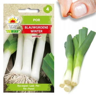 Por BLAUWGROENE WINTER (typ Alaska - późny) Allium porrum L. - Nasiona i cebule - miniaturka - grafika 1