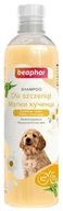 Szampony i odżywki dla psów - BEAPHAR Shampoo Puppy - szampon dla szczeniąt 250 ml - miniaturka - grafika 1