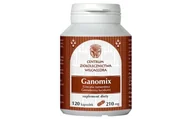 Suplementy naturalne - GANOMIX 120 kapsułek - miniaturka - grafika 1