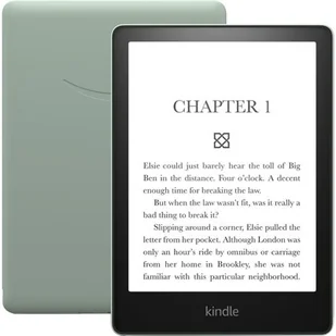 Amazon Kindle Paperwhite 5 WiFi 16GB z reklamami zielony - Czytniki ebooków - miniaturka - grafika 1