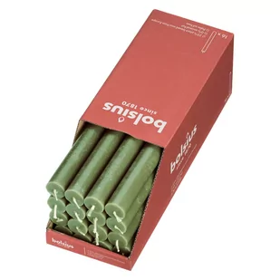 Bolsius Świece stołowe Shine, 16 szt., 27 cm, świeża oliwka Sfeerpunt - Świece - miniaturka - grafika 1