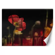 Fototapety - Fototapeta, Czerwony kwiat maku (Rozmiar 150x105) - miniaturka - grafika 1