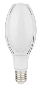 Żarówka Led do Lamp Ulicznych E27/E40 50W 6500K - Żarówki LED - miniaturka - grafika 1