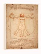 Obrazy i zdjęcia na płótnie - Anatomia, Leonardo da Vinci - obraz na płótnie Wymiar do wyboru: 40x60 cm - miniaturka - grafika 1
