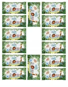 Chusteczki nawilżane - CHUSTECZKI NAWILŻANE DADA EVERYDAY 14 X 72 szt. 1008 CHUSTECZEK BOX - miniaturka - grafika 1