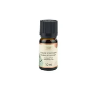 Aromaterapia - Nature Queen NATURE QUEEN Olejek eteryczny, EUKALIPTUS, 10 ml 5902610970412 - miniaturka - grafika 1