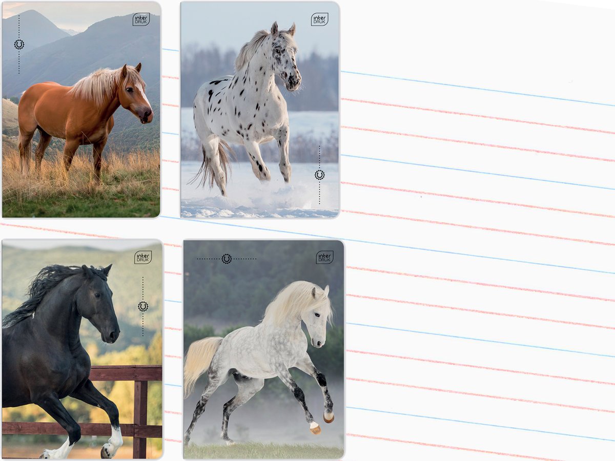 Zeszyt A5 32 Kartki Kolorowa Linia 70 g Uv Wild Horses KOŃ Interdruk