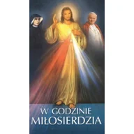 Religia i religioznawstwo - WYDAWNICTWO DUSZPASTERSTWA ROLNIKÓW W Godzinie Miłosierdzia praca zbiorowa - miniaturka - grafika 1