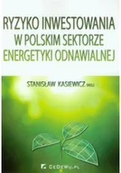 Ekonomia - Ryzyko inwestowania w polskim sektorze energetyki odnawialnej - miniaturka - grafika 1