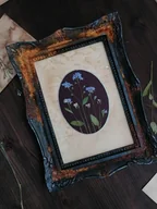 Obrazy i zdjęcia na płótnie - Obraz, kompozycja z kwiatów niezapominajki w stylizowanej ramie retro - miniaturka - grafika 1