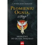 Religia i religioznawstwo - Płomieniu ognia, zstąp! - miniaturka - grafika 1