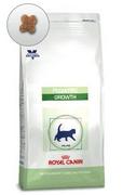 Sucha karma dla kotów - Royal Canin Pediatric Growth 2 kg - miniaturka - grafika 1