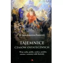 Wydawnictwo AA Tajemnice czasów ostatecznych. Wizje nieba, piekła, czyśćca, aniołów, szatana i ostatniej walki Kościoła - Katarzyna Emmerich - Religia i religioznawstwo - miniaturka - grafika 3