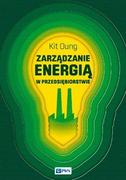 Zarządzanie - Wydawnictwo Naukowe PWN Zarządzanie energią w przedsiębiorstwie - Oung Kit - miniaturka - grafika 1