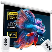 Ekrany projekcyjne - EKRAN PROJEKCYJNY ŚCIENNY ELEKTRYCZNY DUŻY 265X179 CM 125" FULL HD + PILOT - miniaturka - grafika 1
