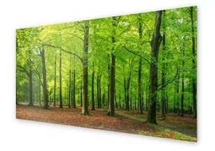 Panel kuchenny HOMEPRINT Krajobraz bukowy las 125x50 cm - Obrazy i zdjęcia na płótnie - miniaturka - grafika 1