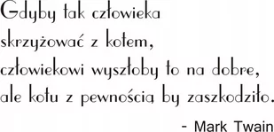 Napis na ścianę naklejka 150x75cm wybór koloru cytat - Mark Twain - 137 - Naklejki na ścianę Napis na ścianę naklejka 150x75cm wybór koloru cytat - Mark Twain - 137 - Naklejki na ścianę - miniaturka - grafika 1