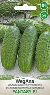 Nasiona i cebule - Ogórek Fantasy F1 5g nasiona - WegAna - miniaturka - grafika 1