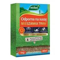 Trawy i trawniki - Mieszanka nasion traw Odporna NA SUSZĘ 1 kg - miniaturka - grafika 1