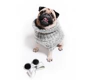 Ubranka dla psów - Sweterek dla psa Warkocz Sweterek dla psa Warkocz szary melanż m - miniaturka - grafika 1